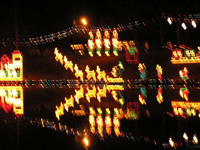 P1010173.jpg - 85130 Bytes