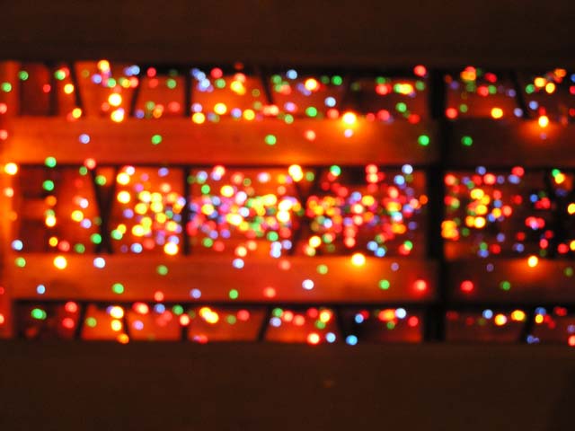 P1010179.jpg - 58944 Bytes